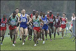 LeadRain-M4k-XC04.JPG