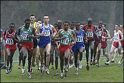 LeadRain2-M4k-XC04.JPG