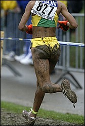 Mud2-W8k-XC04.JPG