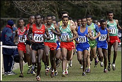 Bekele Leads 3k2-WXC M12k04.JPG