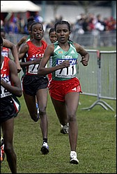 Dibaba_Tirnesh-WXC-W4k04.JPG