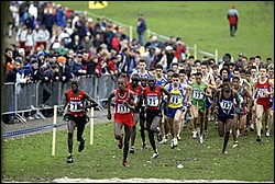 JrM Start-WXC-JrM8k04.JPG