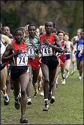 Masai-Dibaba-WXC-W4k04.JPG