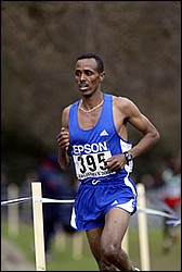 Rifle_Yonas-WXC M12k04.JPG