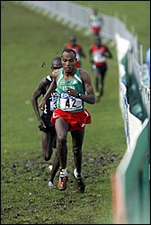 Tadesse_Meba-6k-WXC-JrM8k04.JPG