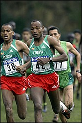 Tadesse_Meba-WXC-JrM8k04.JPG