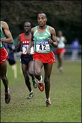 Tadesse_Meba2-WXC-JrM8k04.JPG