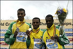 Top 3-WXC-JrM8k04.JPG