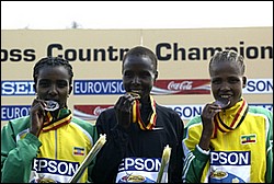 Top 3-WXC-W4k04.JPG