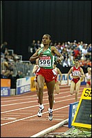 Dulecha_Kutre-FV-Worldi04.JPG