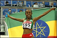 Defar_Meseret-FL-Worldi04.JPG