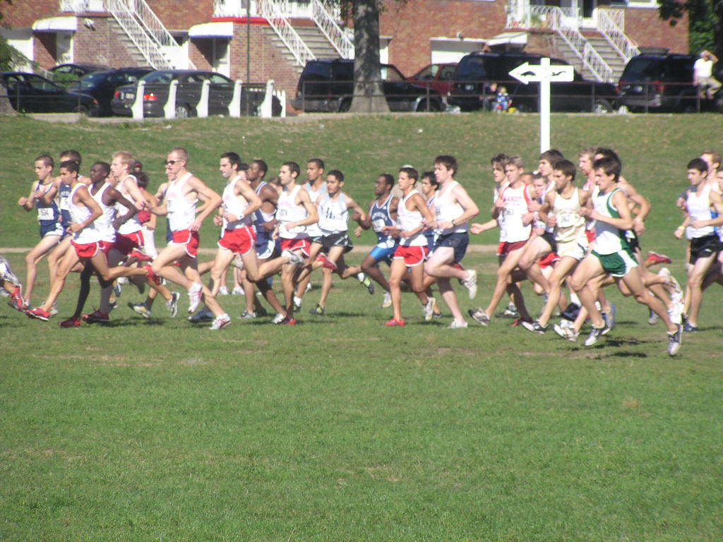 iona2005 004.jpg