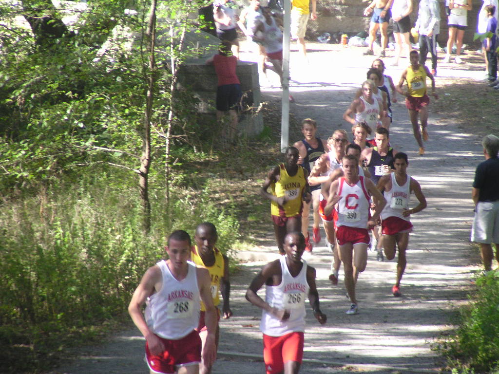 iona2005 010.jpg