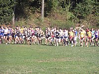 iona2005 001.jpg