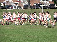 iona2005 004.jpg