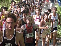 iona2005 034.jpg