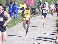 iona2005 074.jpg