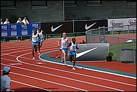 DSC_0247.jpg
