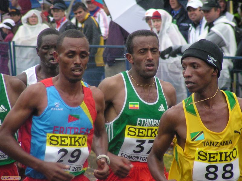 Finally a Clear Picture of the Lead Pack