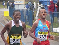 P1010039.JPG