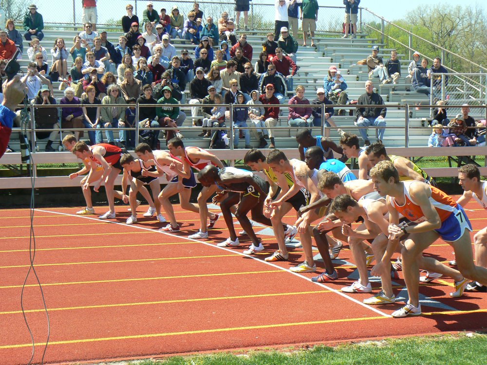 P1020817.JPG