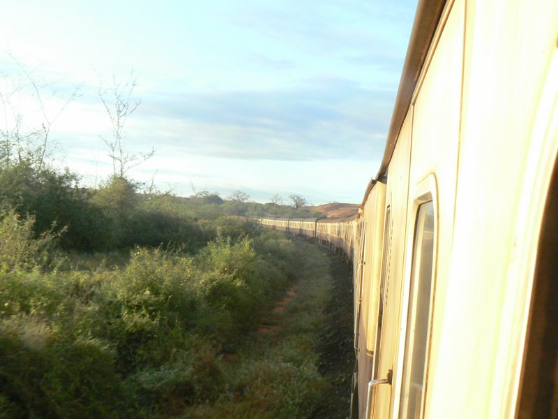 P1010753.JPG