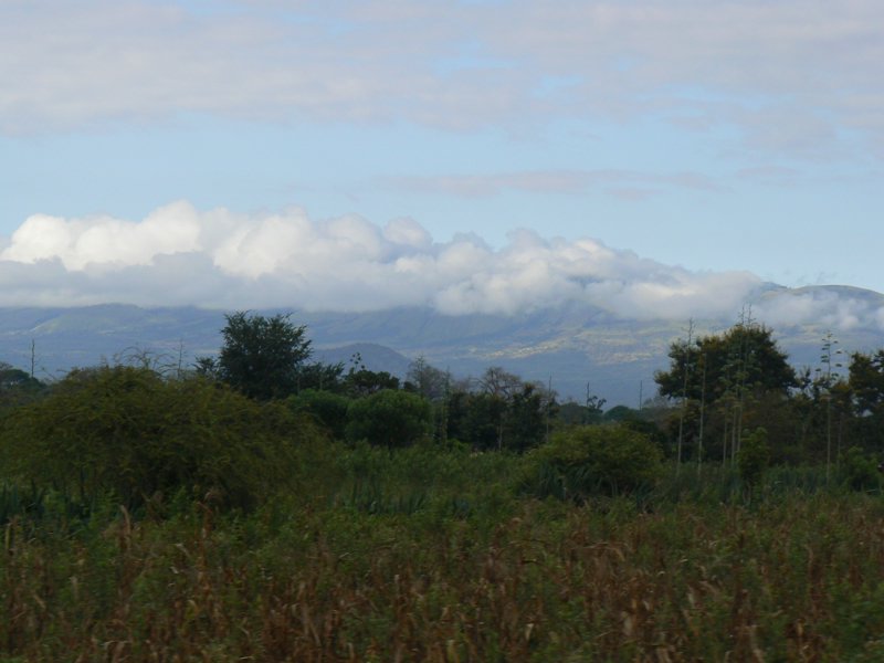 P1010764.JPG