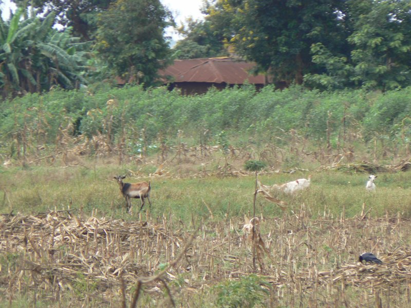 P1010789.JPG