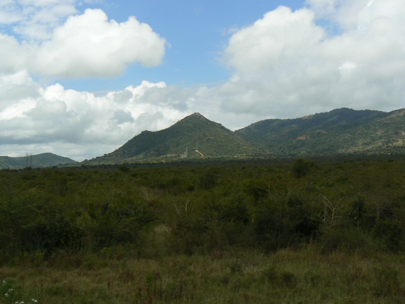 P1010790.JPG