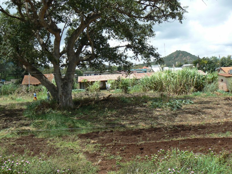 P1010791.JPG