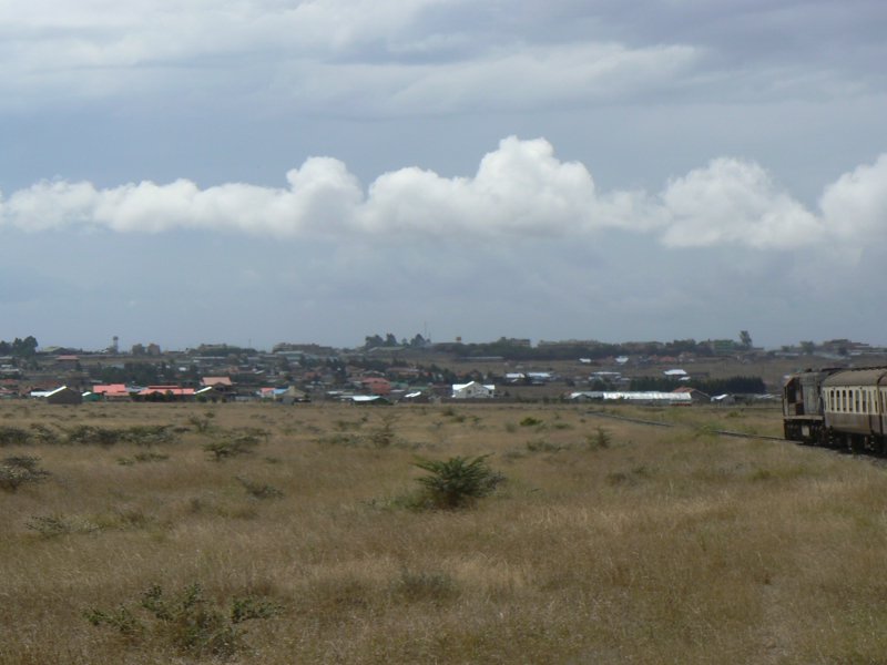 P1010804.JPG