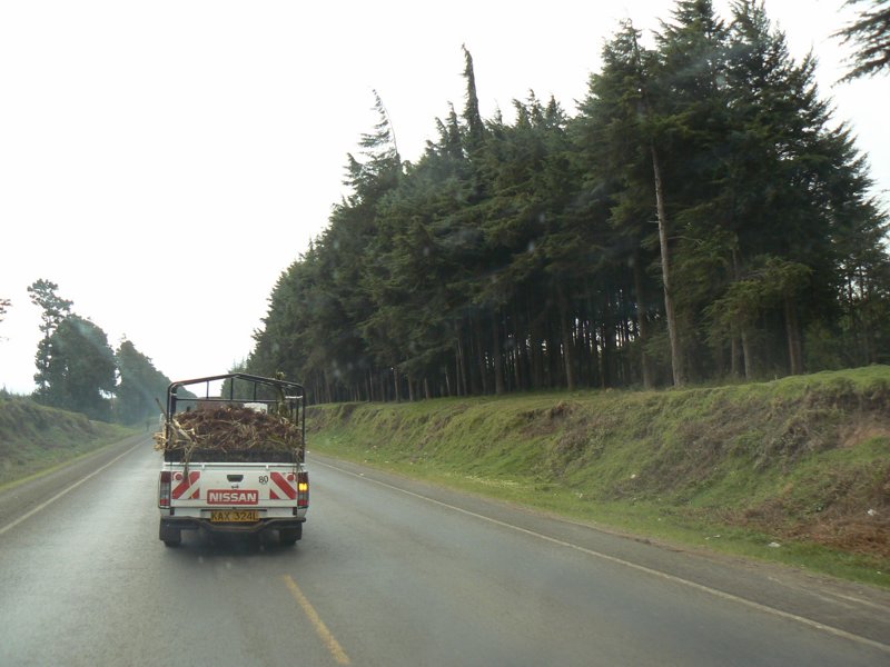 P1010833.JPG