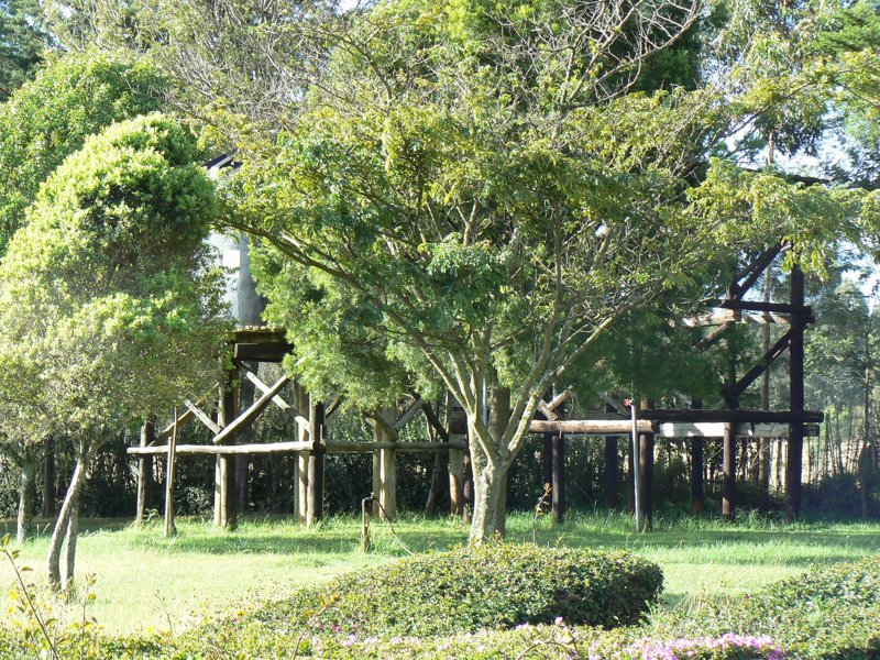 P1010861.JPG