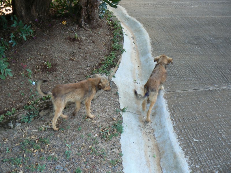 P1010862.JPG