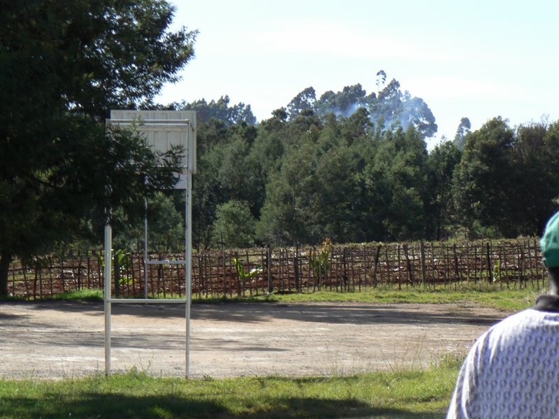 P1010865.JPG