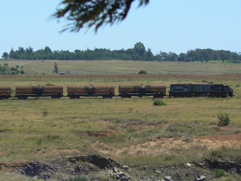 P1010925.JPG