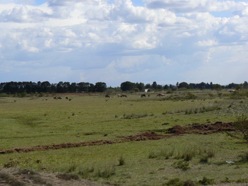 P1010949.JPG