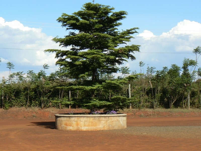 P1010970.JPG
