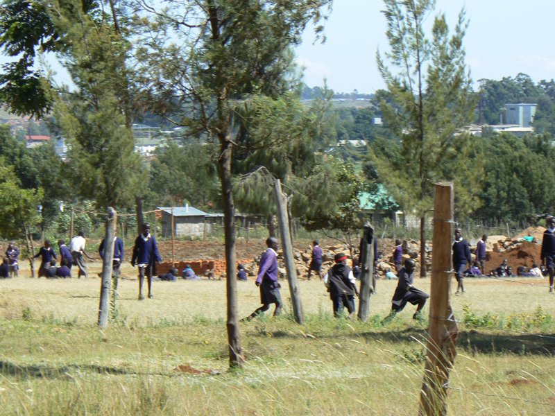 P1010991.JPG