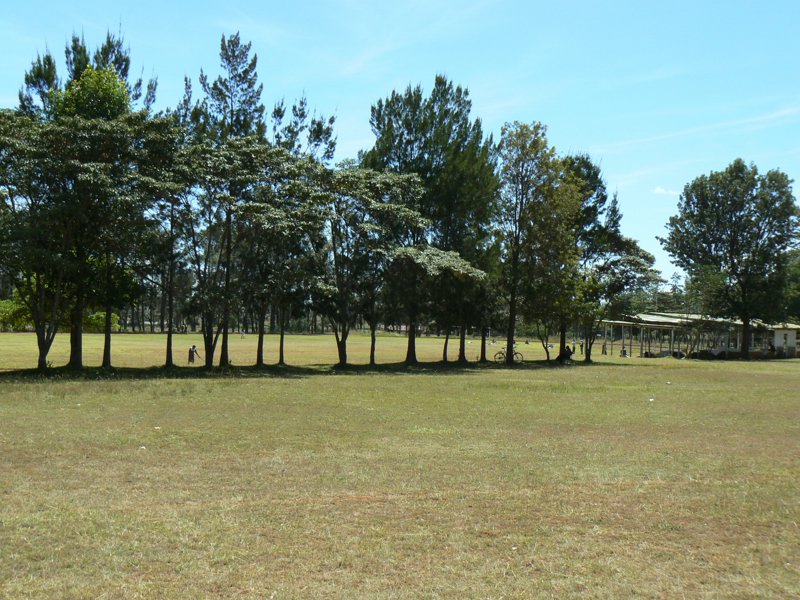 P1020008.JPG