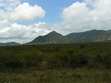 P1010790.JPG