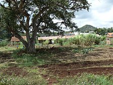 P1010791.JPG