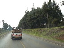 P1010833.JPG