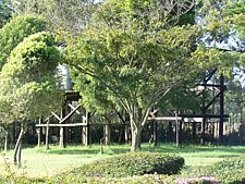 P1010861.JPG