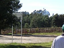 P1010865.JPG