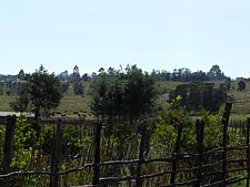 P1010871.JPG