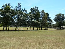P1020008.JPG