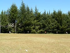 P1020036.JPG