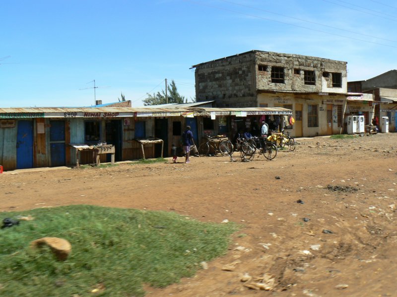 P1020006.JPG