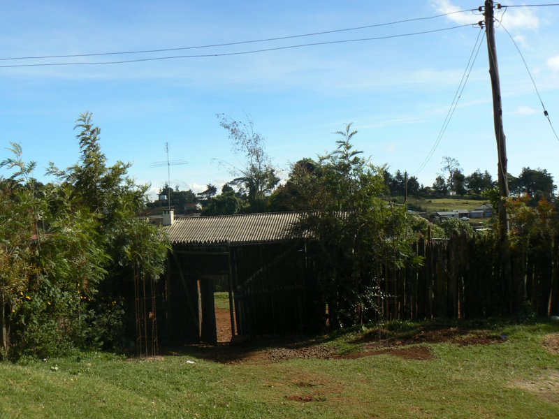 P1020069.JPG